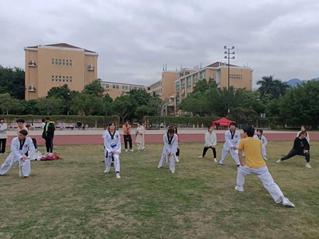 关于大奖赛巅峰对决！洞庭火狐队火力全开燕赵青龙队，跆拳道赛场再起波澜；临场应变见真章的信息